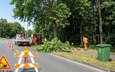 Route du Parc à bois : Travaux et réglementation de circulation