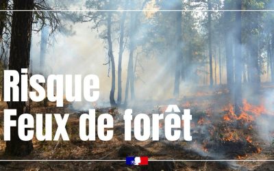 Prévention des feux de forêts et de végétaux | activation du degré de danger modéré en Moselle