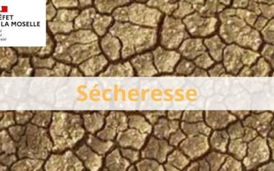 Alerte sécheresse
